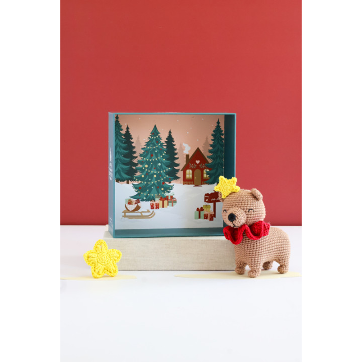 coffret-crochetez-adoptez-exposez-augustin-l-ours-3.webp