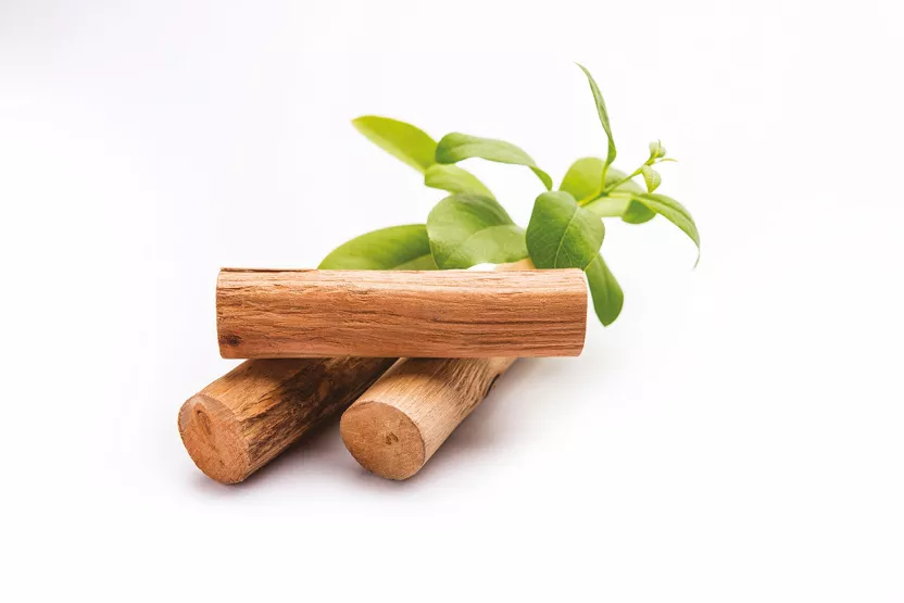 Senteur bougie - Santal (27ml) 