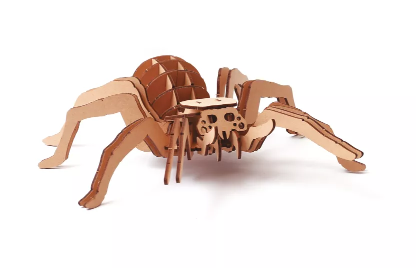 Maquette en bois 3D - Araignée