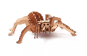 Maquette en bois 3D - Araignée