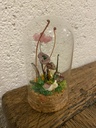 Jardin féérique - Fleurs des champs