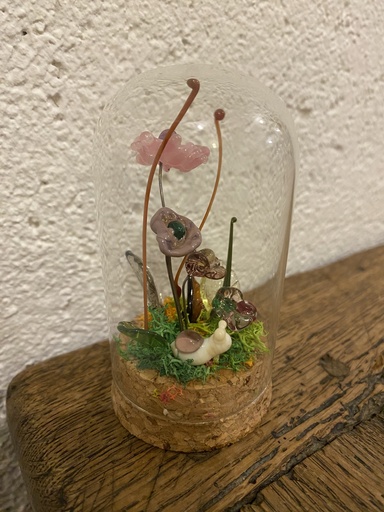 Jardin féérique - Fleurs des champs